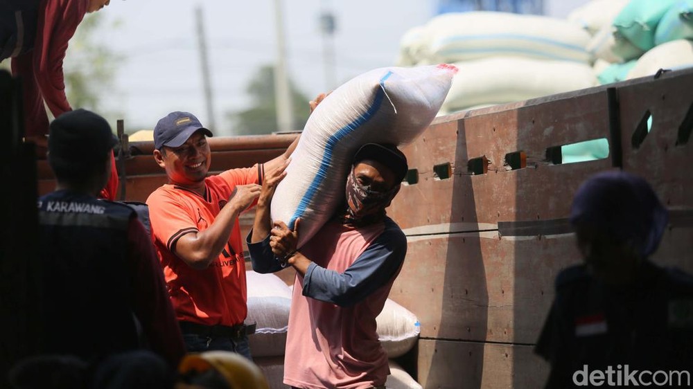 Bulog Ditugaskan Serap Gabah Petani dengan Harga Rp 6.500 per Kilogram