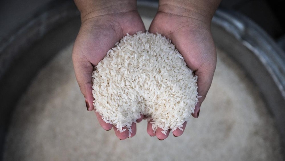 Harga Beras Melambung di Tengah Stok yang Diklaim Aman, Ada Apa?