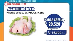 Harga Ayam Broiler Anjlok di Transmart Full Day Sale, Mulai Rp 29 Ribuan!