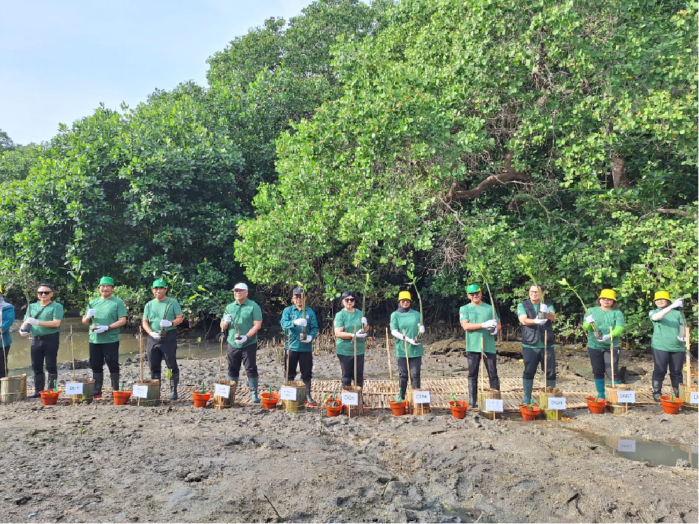 Bank Indonesia Tanam 1.000 Mangrove di Bali, Dukung Ekonomi Hijau Berkelanjutan