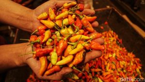 Harga Cabai Meroket di Awal Ramadan, Ayam Juga Ikut-ikutan Mahal