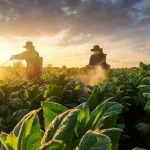 Kualitas dan Jangkauan Pasar Kunci Sukses Merek Marcopolo