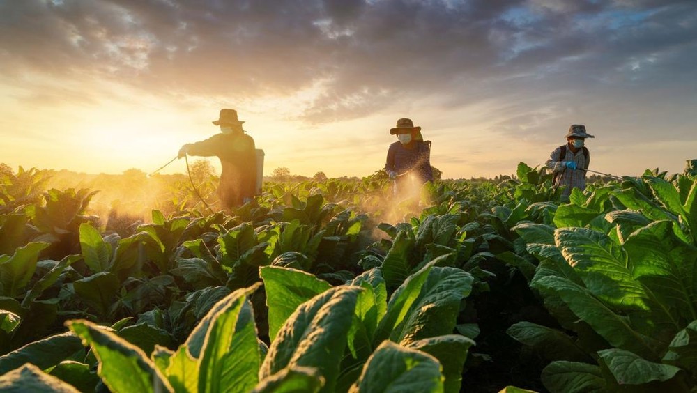 Kualitas dan Jangkauan Pasar Kunci Sukses Merek Marcopolo