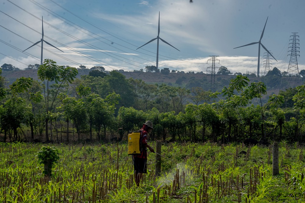 Energi Terbarukan Digenjot, Kapasitas PLTB Nasional Bakal Dilipatgandakan