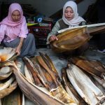 Pelepah Pinang Jadi Piring, Inovasi Warga Aceh Dongkrak Ekonomi