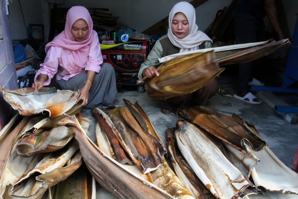 Pelepah Pinang Jadi Piring, Inovasi Warga Aceh Dongkrak Ekonomi